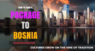 Shipping to Bosnia: A Step-by-Step Guide to Sending Packages