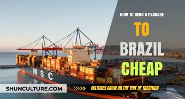Affordable Shipping Tips: Send Packages to Brazil Without Breaking the Bank