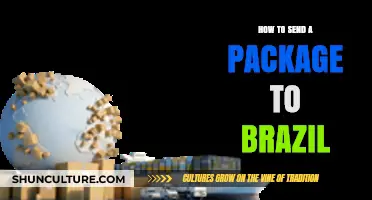 Shipping to Brazil: A Step-by-Step Guide for Hassle-Free Package Delivery