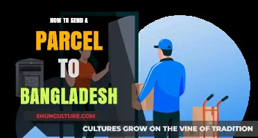 Efficient Parcel Shipping: A Guide to Sending Packages to Bangladesh
