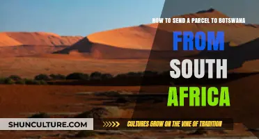 Easy Guide: Sending Parcels from South Africa to Botswana