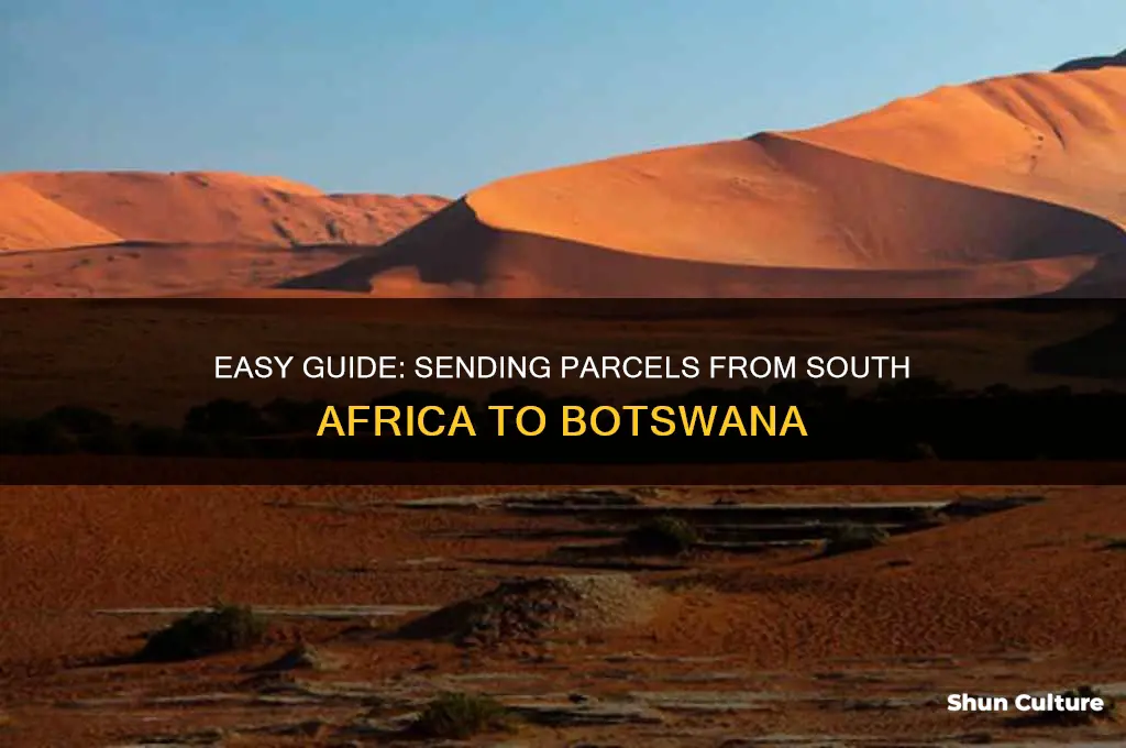 how to send a parcel to botswana from south africa