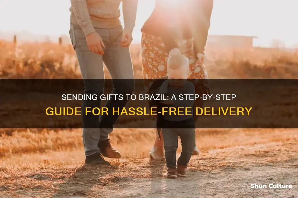 how to send a present to brazil