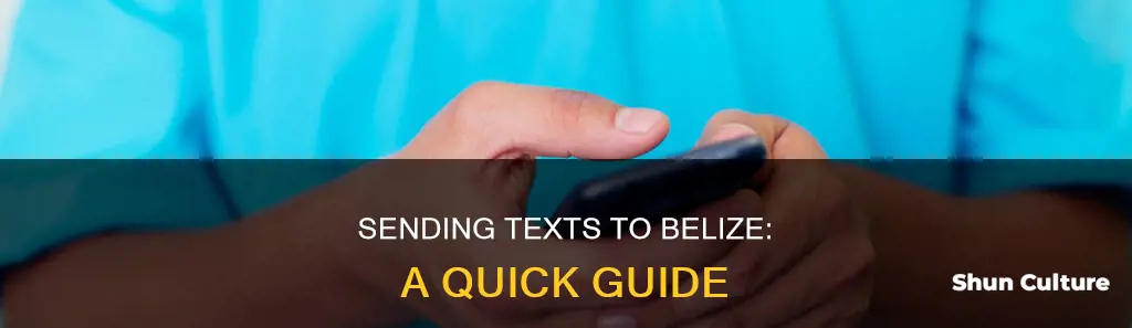 how to send a text to belize