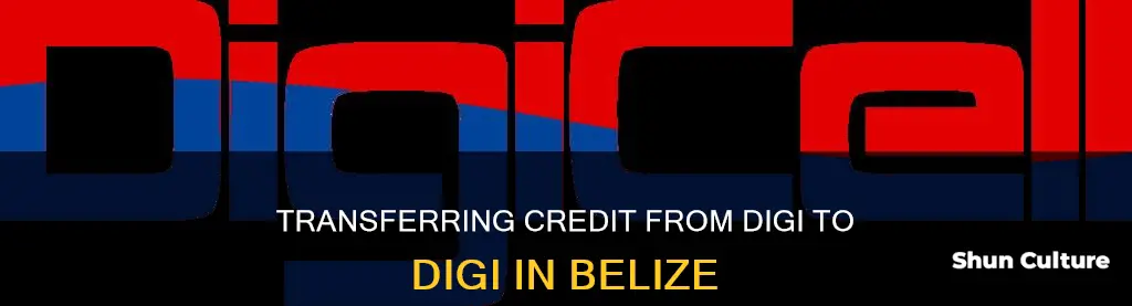 how to send credit from digi to digi belize