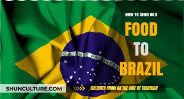 Shipping Dog Food to Brazil: A Step-by-Step Guide for Pet Owners