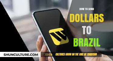 Efficient Ways to Transfer Dollars to Brazil: A Step-by-Step Guide