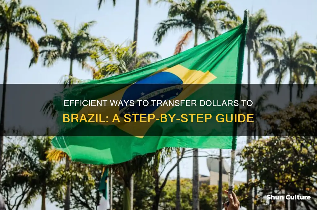 how to send dollars to brazil