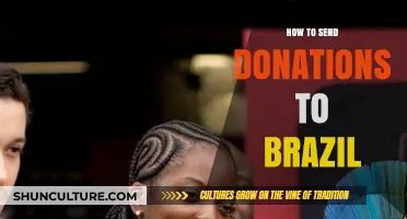 Donating to Brazil: A Step-by-Step Guide for International Support