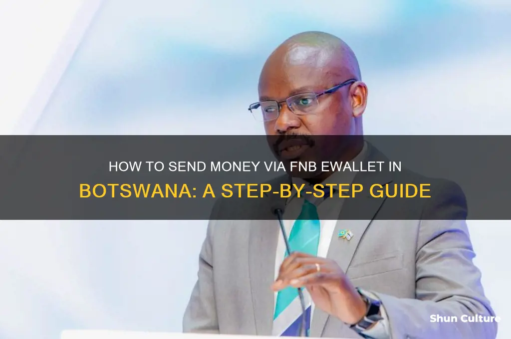 how to send ewallet fnb botswana
