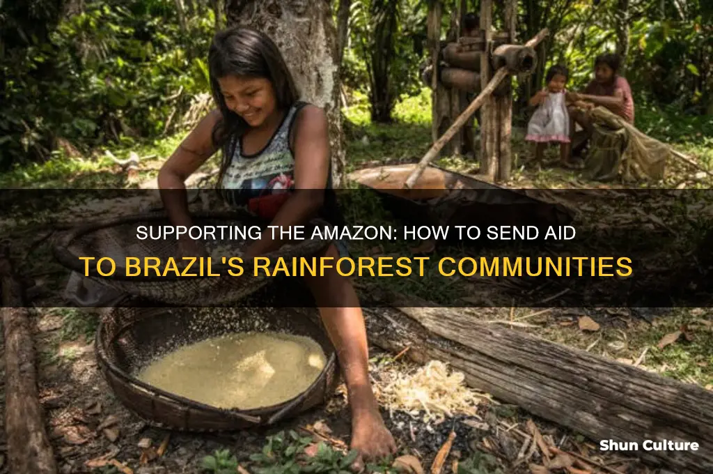 how to send help to amazonian brazil