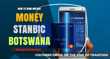 Send Money Instantly with Stanbic Botswana: A Quick Guide