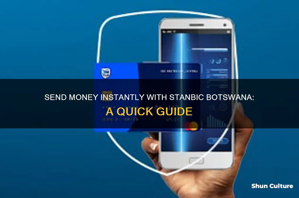 how to send instant money stanbic botswana