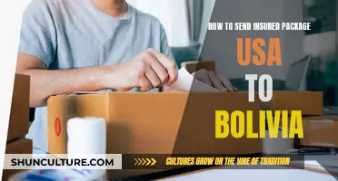 Insured Package Shipping: USA to Bolivia