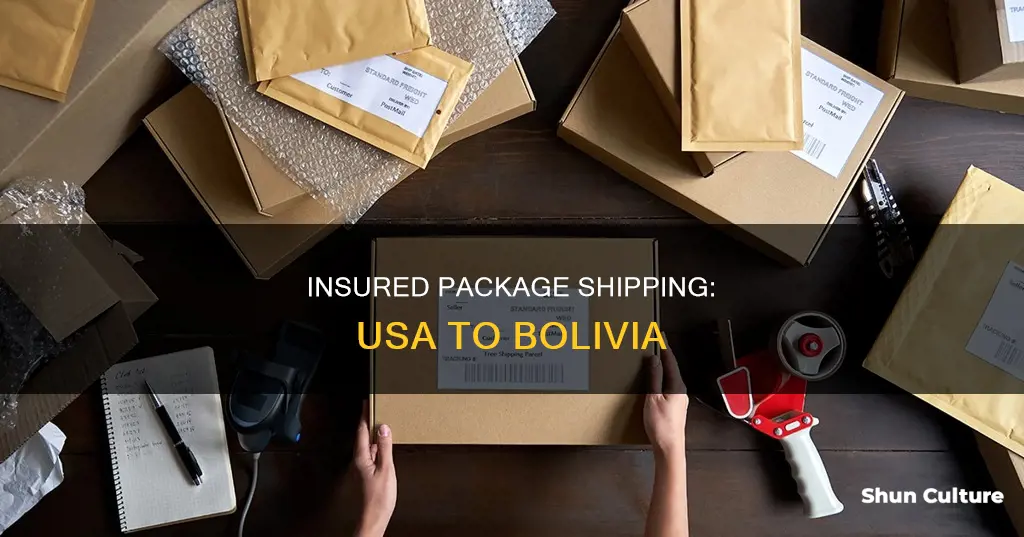 how to send insured package usa to bolivia