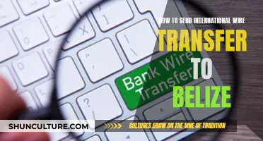 A Guide to Sending International Wire Transfers to Belize