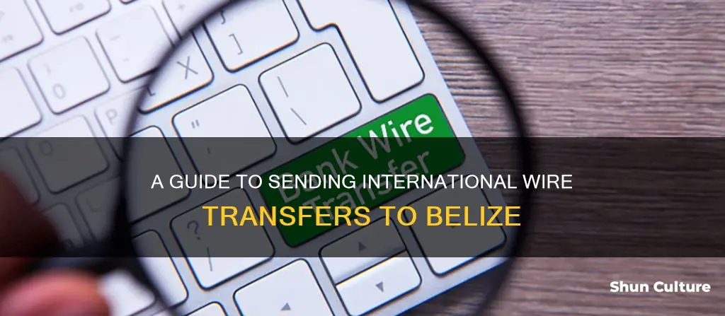 how to send international wire transfer to belize