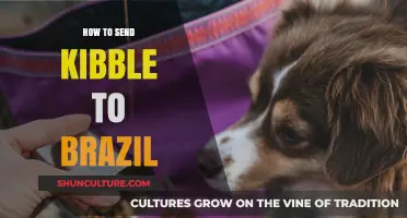 Shipping Kibble to Brazil: A Step-by-Step Guide for Pet Owners