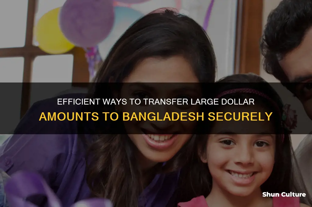 how to send large amount dollar in bangladesh