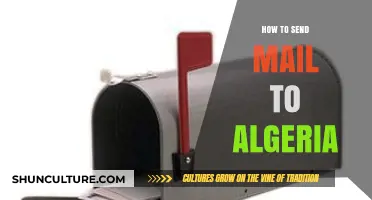 Efficiently Sending Mail to Algeria: A Comprehensive Step-by-Step Guide