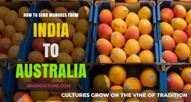 Shipping Mangoes: India to Australia