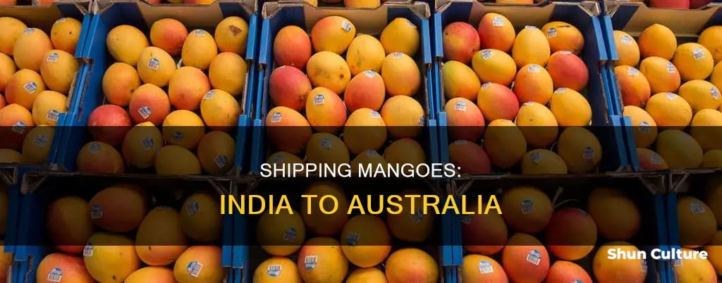 how to send mangoes from india to australia