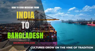 Sending Medicine from India to Bangladesh: A Comprehensive Guide