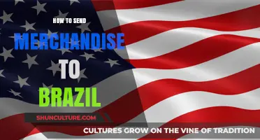 Shipping Merchandise to Brazil: A Comprehensive Guide for Businesses