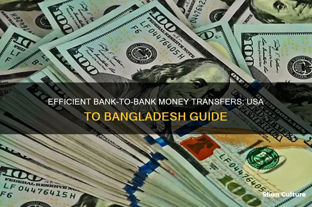 how to send mney from usa to bangladesh-bank to bank