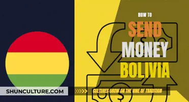 Sending Money to Bolivia: A Quick Guide