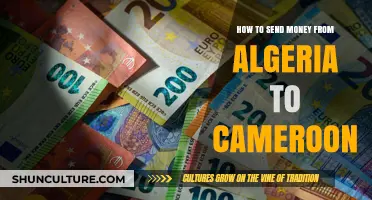 Efficient Ways to Transfer Money from Algeria to Cameroon