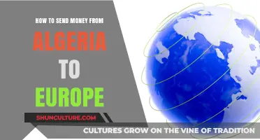 Efficient Ways to Transfer Money from Algeria to Europe