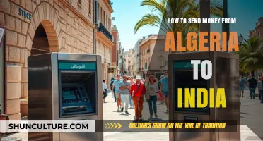 Efficient Ways to Transfer Money from Algeria to India