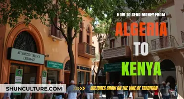 Efficient Ways to Transfer Funds from Algeria to Kenya