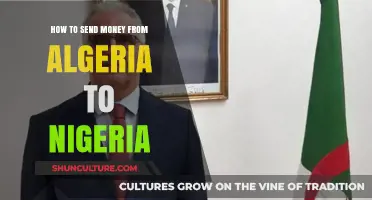Sending Money from Algeria to Nigeria: A Step-by-Step Guide
