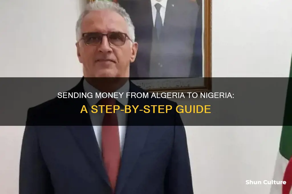 how to send money from algeria to nigeria