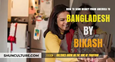 Send Money from USA to Bangladesh Easily with Bikash