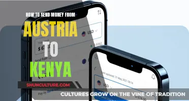 Sending Money Abroad: Austria to Kenya