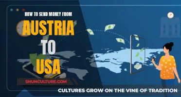 Sending Money Overseas: Austria to USA