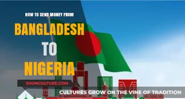 Efficient Ways to Transfer Money from Bangladesh to Nigeria
