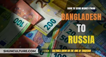 Efficient Ways to Transfer Money from Bangladesh to Russia