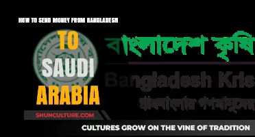 Efficient Ways to Transfer Money from Bangladesh to Saudi Arabia