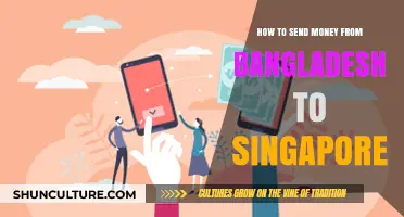 Efficient Ways to Transfer Money from Bangladesh to Singapore