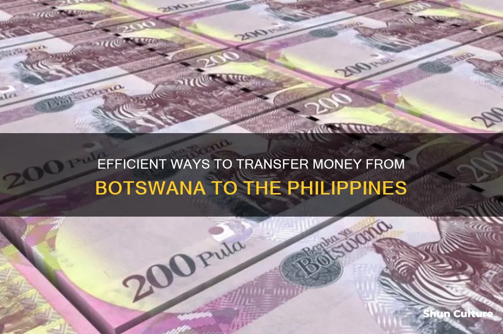 how to send money from botswana to philippines