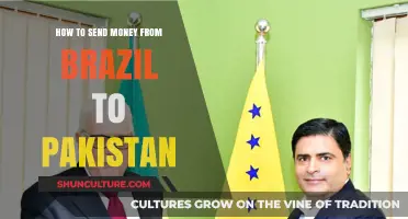 Efficient Ways to Transfer Money from Brazil to Pakistan