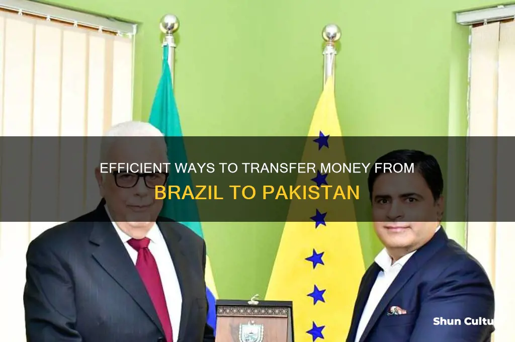 how to send money from brazil to pakistan
