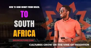 Efficient Ways to Transfer Money from Brazil to South Africa