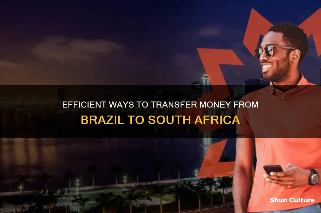 how to send money from brazil to south africa