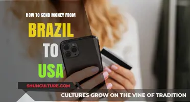 Efficient Ways to Transfer Money from Brazil to the USA