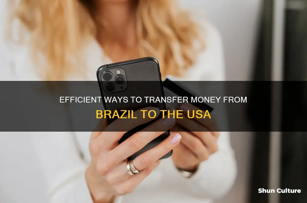 how to send money from brazil to usa